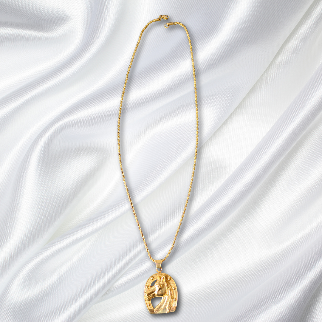 Cadena Laso + Caballo Herradura